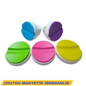 (201740) MANYETİK İĞNELEME